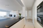 scut 5- 3.jpg (22/016)